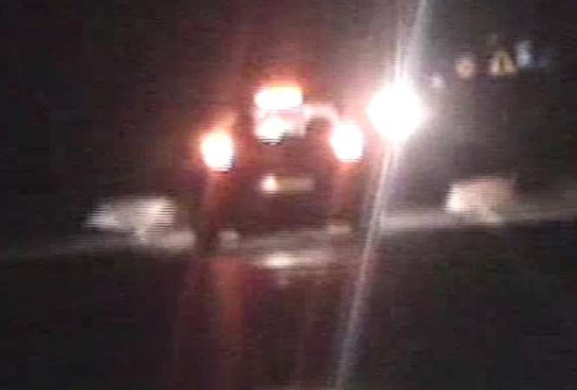 Dziki wybiegły na jezdnię prosto pod samochód [wideo]