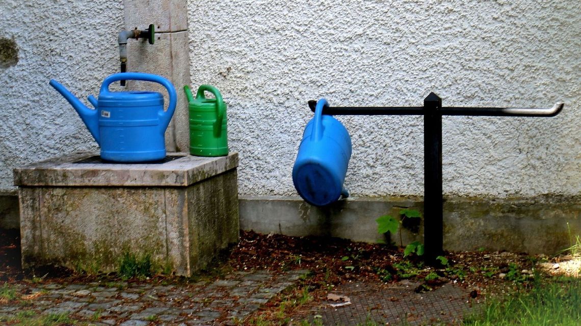 Dzikie rzeki – recepta na suszę