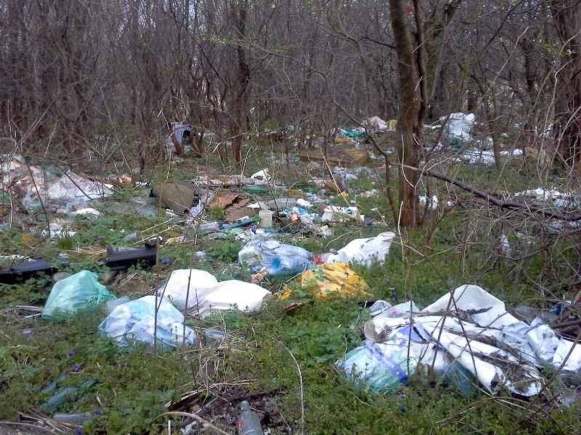 Dzikie wysypiska koło Zalewu Zemborzyckiego. "Ilości niesamowite, koszmar"