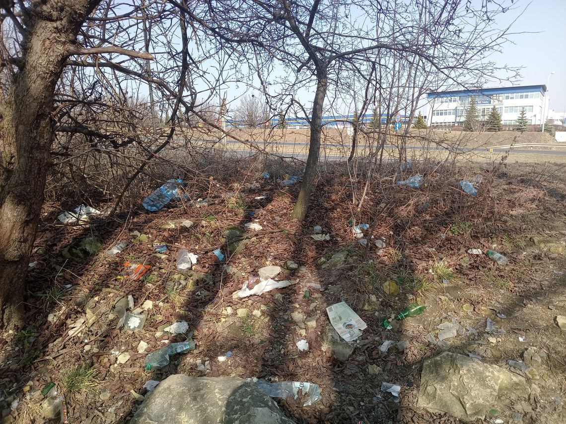 Dzikie wysypisko na Felinie ma zniknąć Dzikie wysypisko na Felinie ma zniknąć