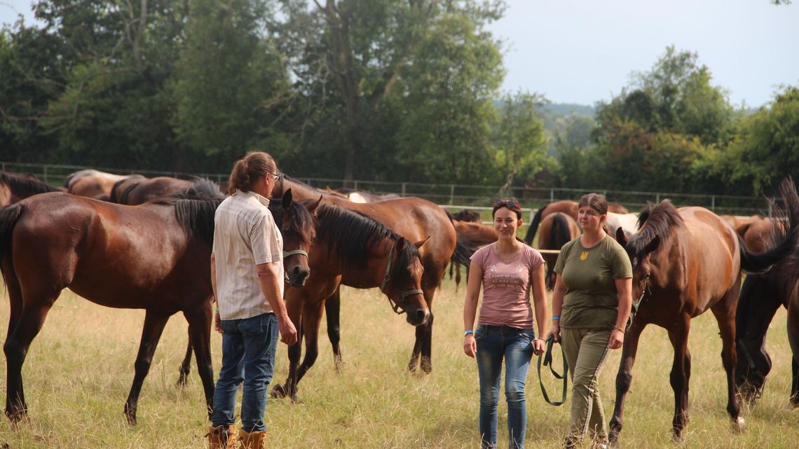 Dziś aukcja Pride of Poland 2022. W tym roku jest poważna zmiana Dziś aukcja Pride of Poland 2022. W tym roku jest poważna zmiana