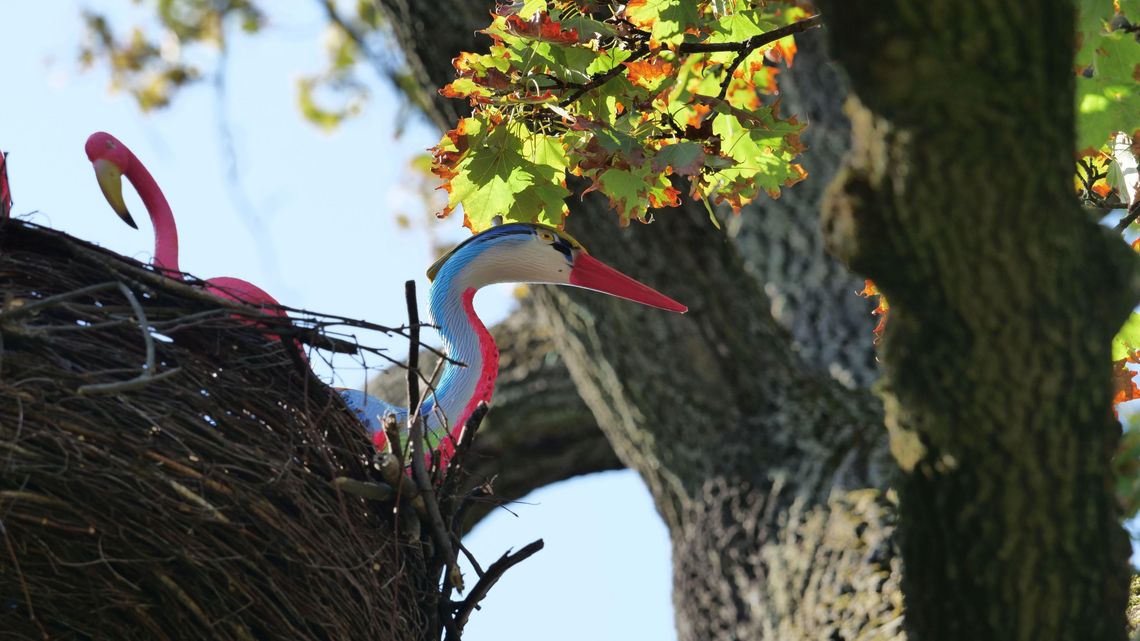 Dziś Open City 2019. "Test dla miasta na gościnność"