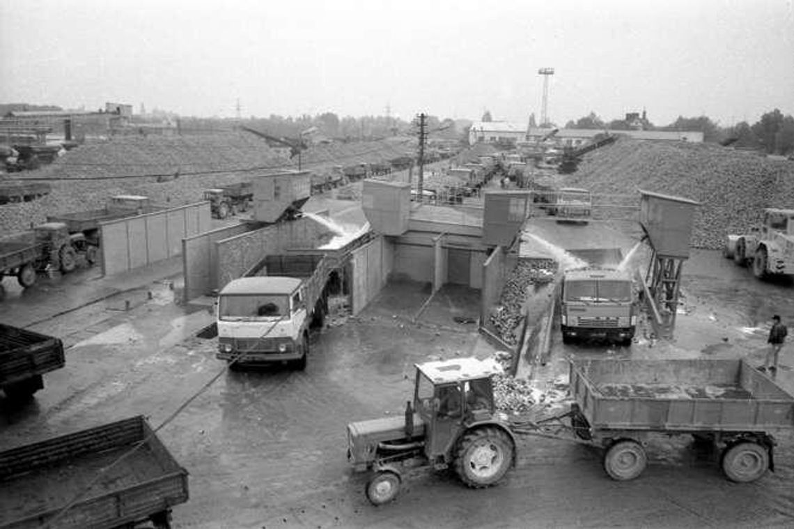 Dziś po wielu cukrowniach nie ma już śladu. Dlaczego były tak ważne dla władz w PRL-u?