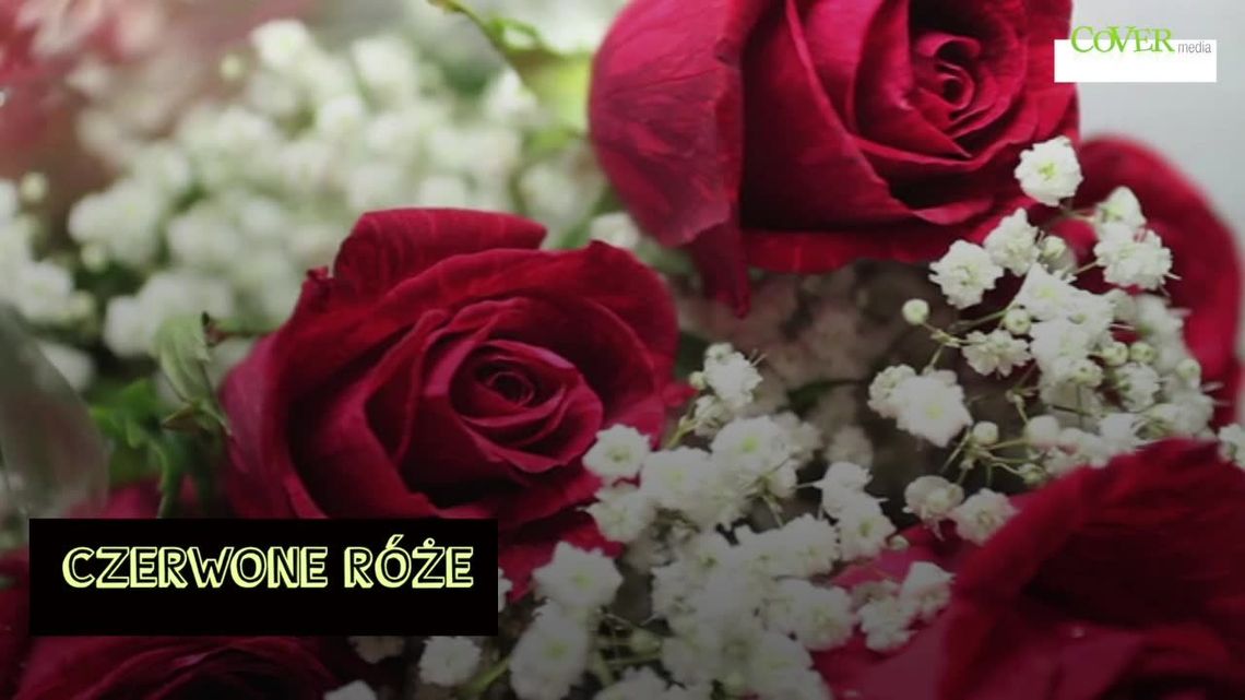 Dziś Walentynki! Oto 10 najbardziej romantycznych kwiatów