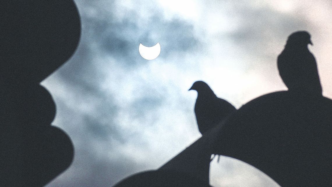 Dziś warto było spojrzeć w górę. Częściowe zaćmienie Słońca na zdjęciach naszych czytelników