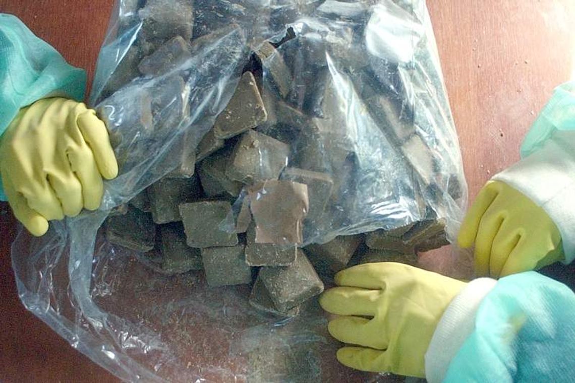 Dzisiaj rozpoczyna się szczepienie lisów. Zrzucą pół miliona dawek z samolotu