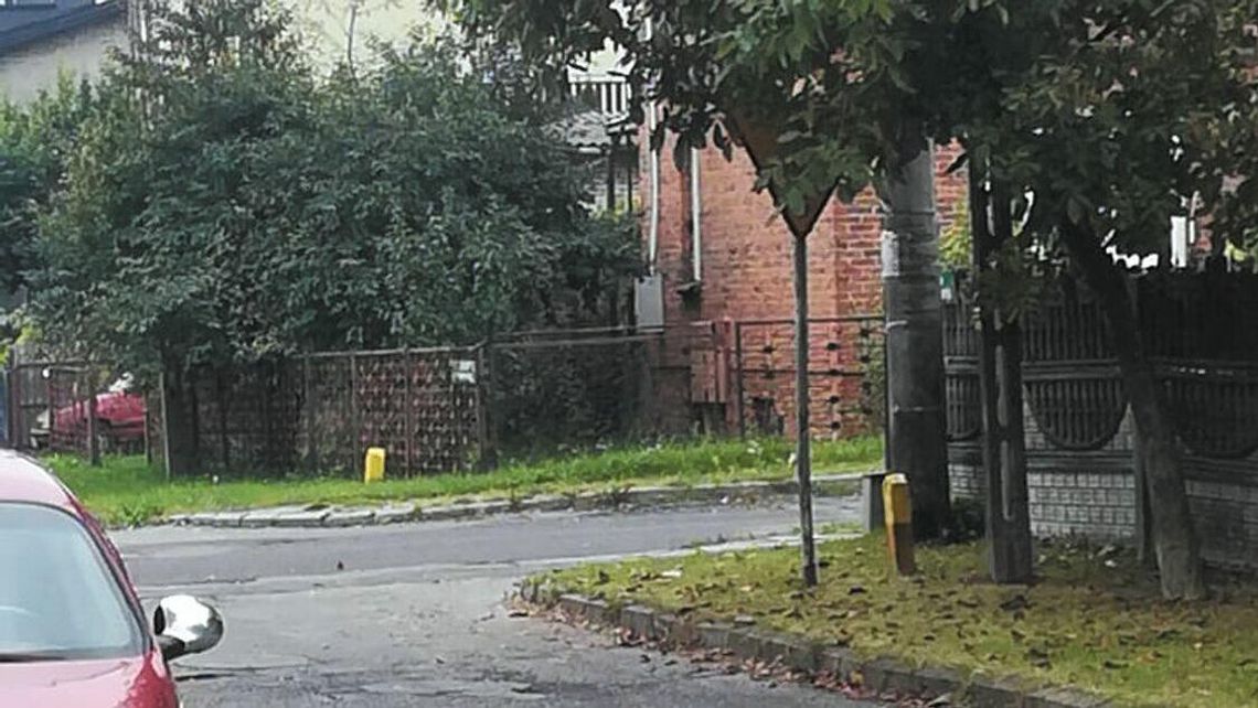 Dziury, znaki, drzewa. W Chełmie zbierają informacje o problemach na drogach Dziury, znaki, drzewa. W Chełmie zbierają informacje o problemach na drogach