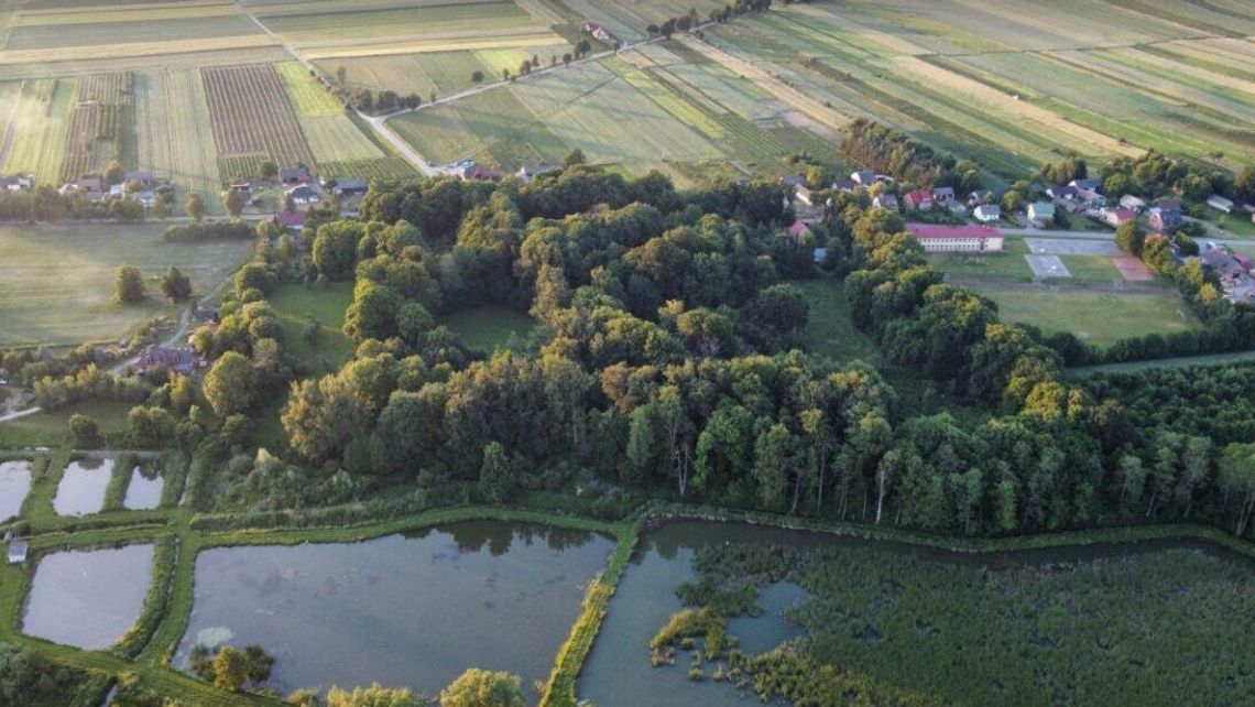 Dżungla w podworskim parku. To miejsce trzeba ratować 