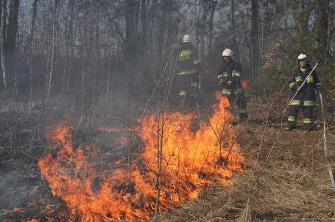 Efekty wypalania traw: Martwy mężczyzna i karambol 8 samochodów