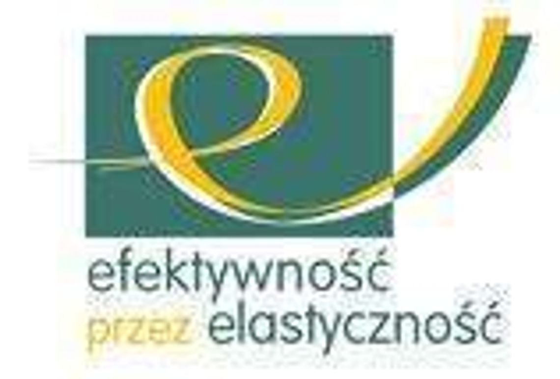 Efektywność przez elastyczność. Świat stawia na elastyczne miejsca pracy i zatrudnienie