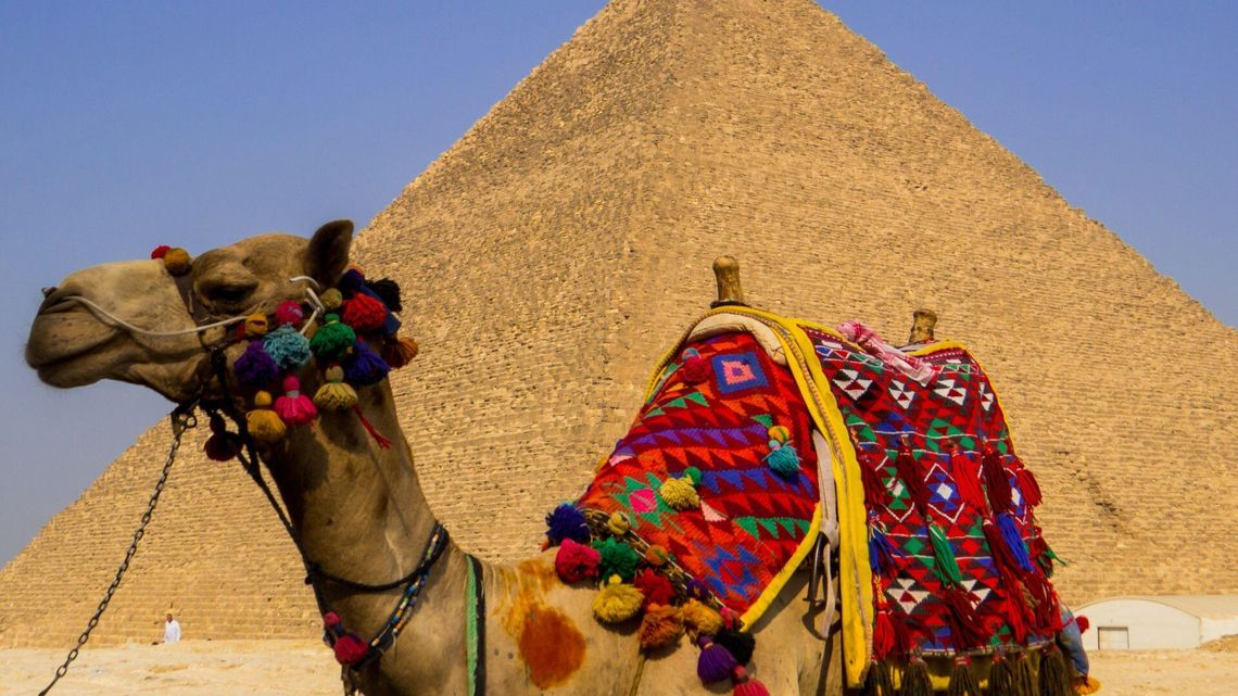 Egipt po polsku – Poznaj kraj faraonów z lokalnym przewodnikiem