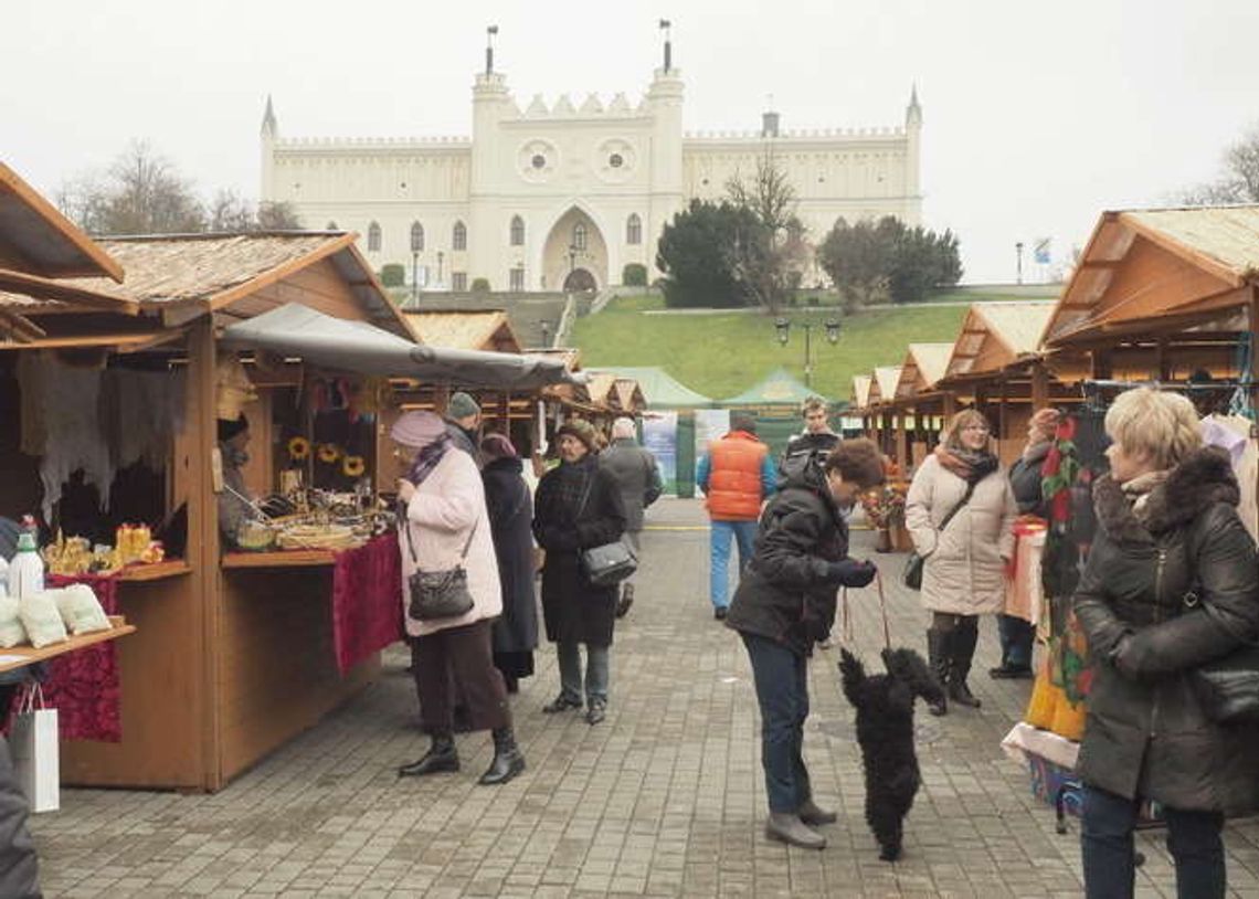Ekofestyn przed Zamkiem w Lublinie (zdjęcia) Ekofestyn przed Zamkiem w Lublinie (zdjęcia)