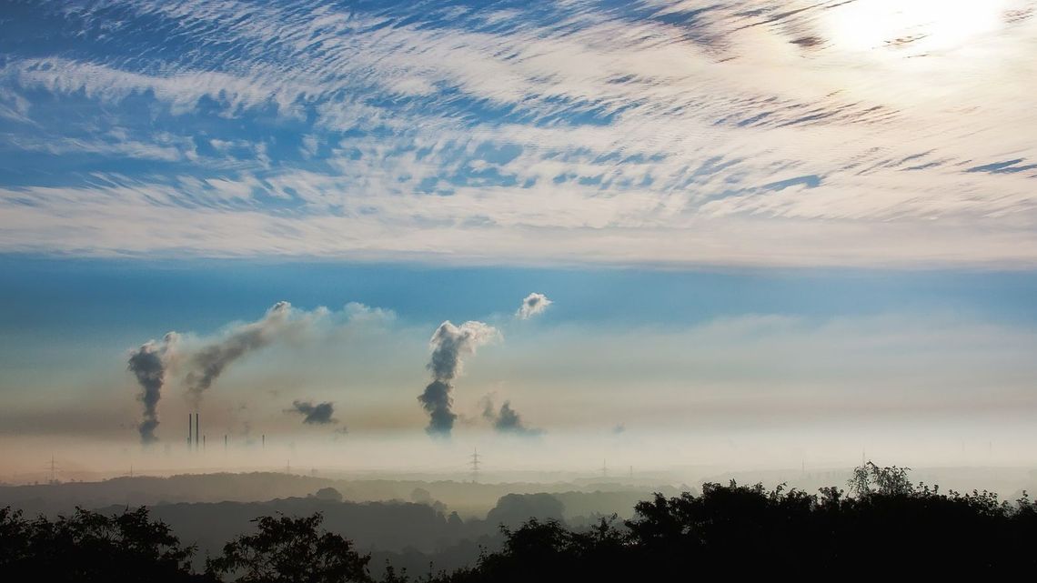 Ekolodzy apelują o przyjęcie tzw. uchwały antysmogowej. Bez tego stajemy się "paliwowym śmietnikiem"