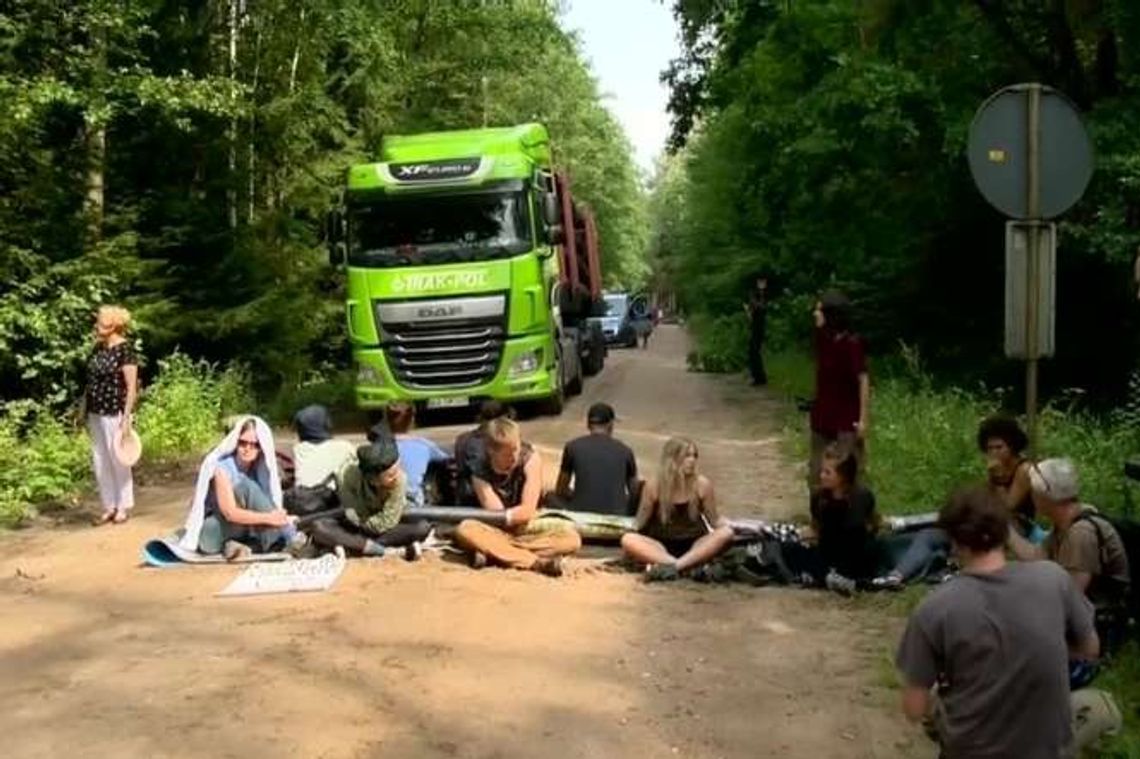 Ekolodzy blokowali wyjazd z Puszczy Białowieskiej. Ciężarówki zmieniły trasę