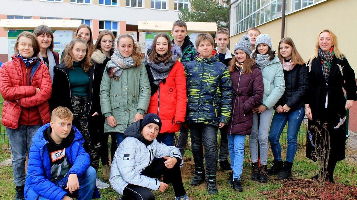 Ekologiczna "Jedenastka". Zbudowali przyrodniczą ścieżkę