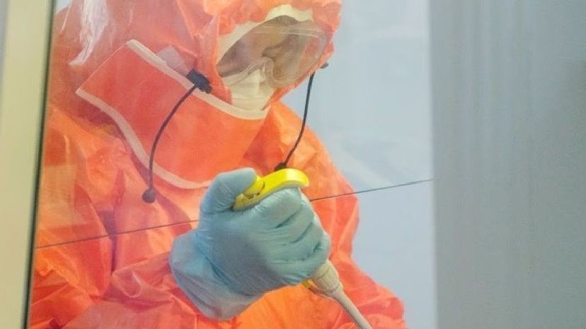 Eksperci Światowej Organizacji Zdrowia: Koronawirus może zabić do 190 tys. ludzi w Afryce Eksperci Światowej Organizacji Zdrowia: Koronawirus może zabić do 190 tys. ludzi w Afryce