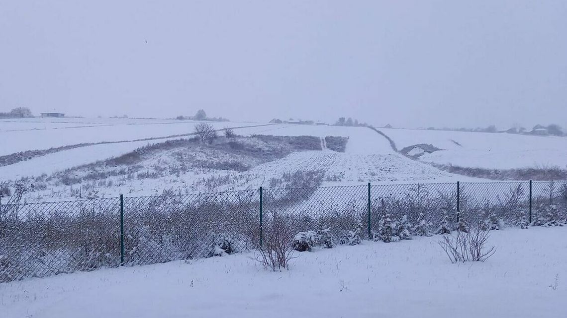 Eksperyment w Cygańskim Lesie. Takie spacery zwiększają zadowolenie z własnego ciała