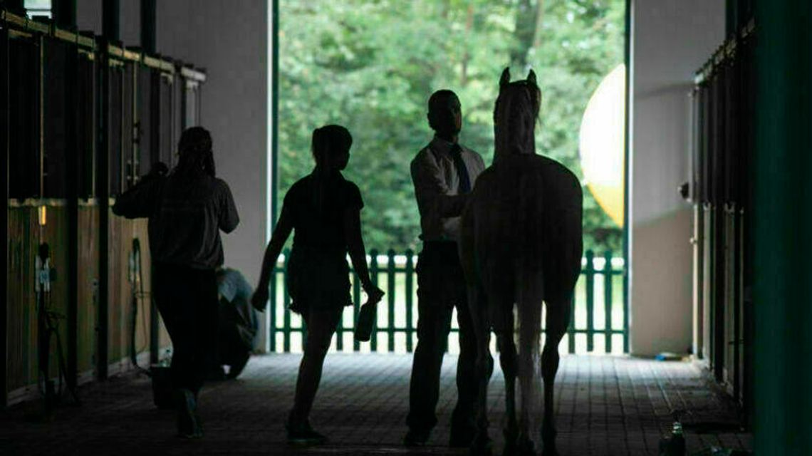 Ekstra pieniądze płyną do janowskiej stadniny. Nowy minister zaakceptował decyzję PiS-u Ekstra pieniądze płyną do janowskiej stadniny. Nowy minister zaakceptował decyzję PiS-u