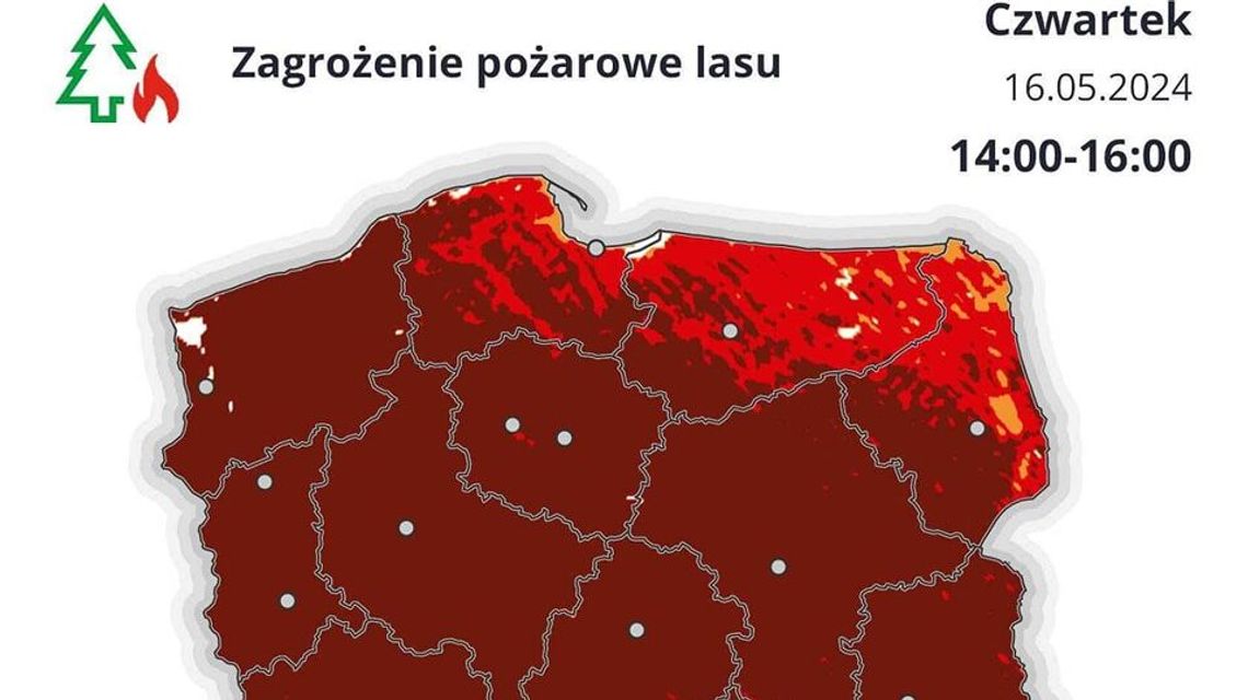 Ekstremalne zagrożenie w lasach