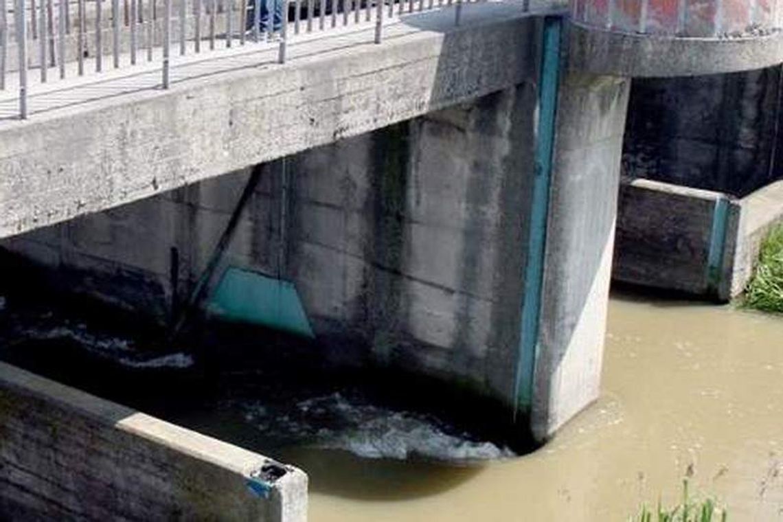 Elektrownia wodna na Bystrzycy ma nie wadzić rybom