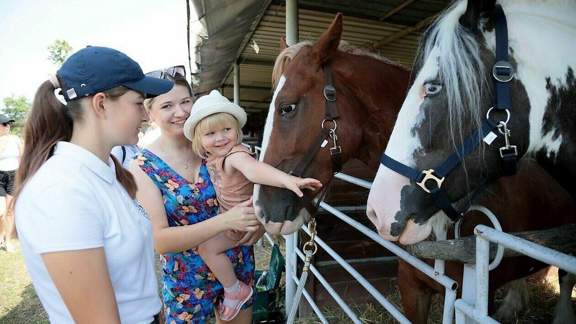 Elvis i Donatello mają swoje święto. Coś dla miłośników koni 