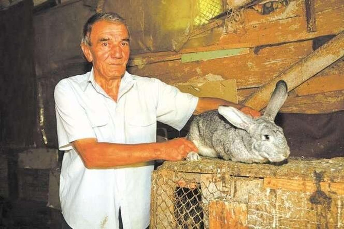 Emeryt kontra nadleśniczy. Awantura o stodołę i oborę