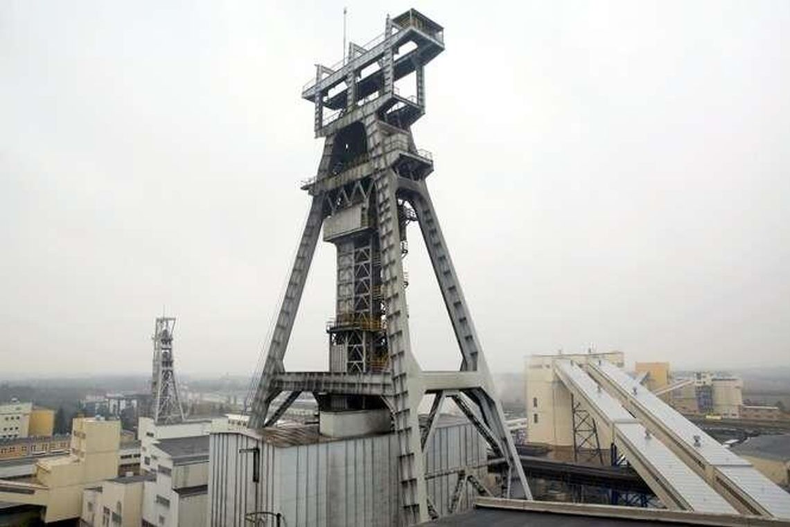 Enea w Bogdance. Rada Nadzorcza już nie zarobi Enea w Bogdance. Rada Nadzorcza już nie zarobi