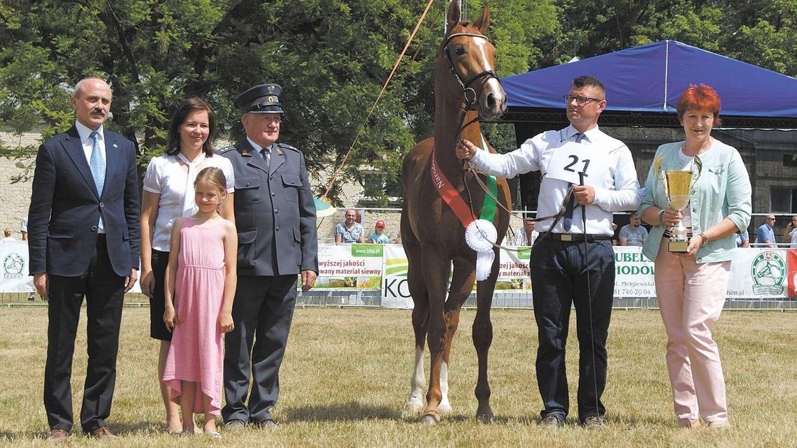 Epinus, czempion z Janowa Podlaskiego Epinus, czempion z Janowa Podlaskiego