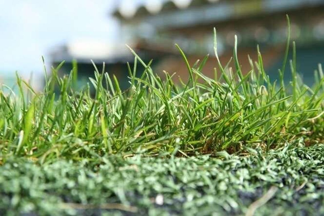 EURO 2017 w Lublinie. Gdy zniknie śnieg, zajmą się murawą na stadionie przy Al. Zygmuntowskich