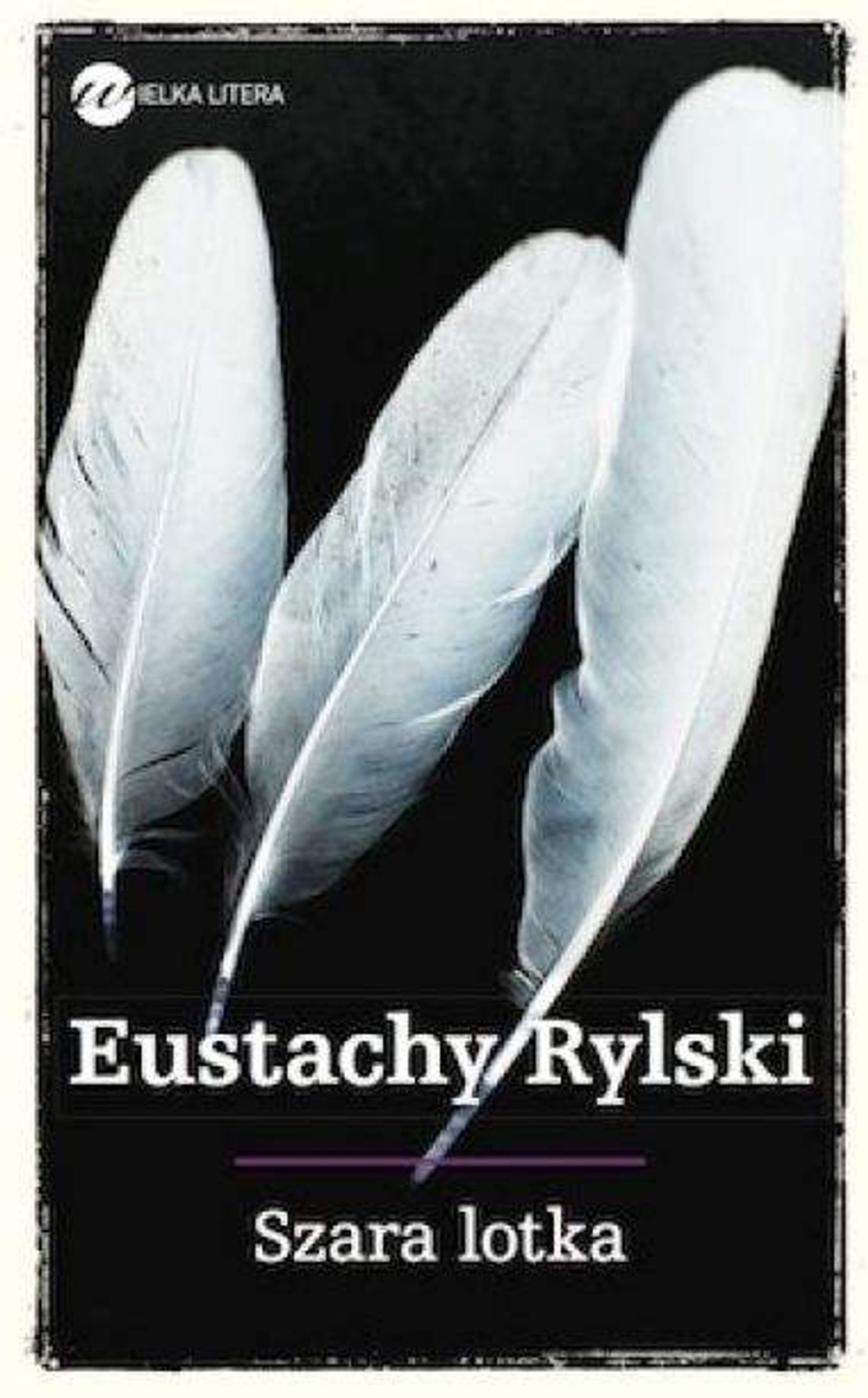 Eustachy Rylski, Szara lotka Eustachy Rylski, Szara lotka