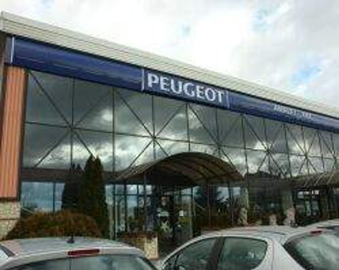 Expak (nr 19) - 32 głosy