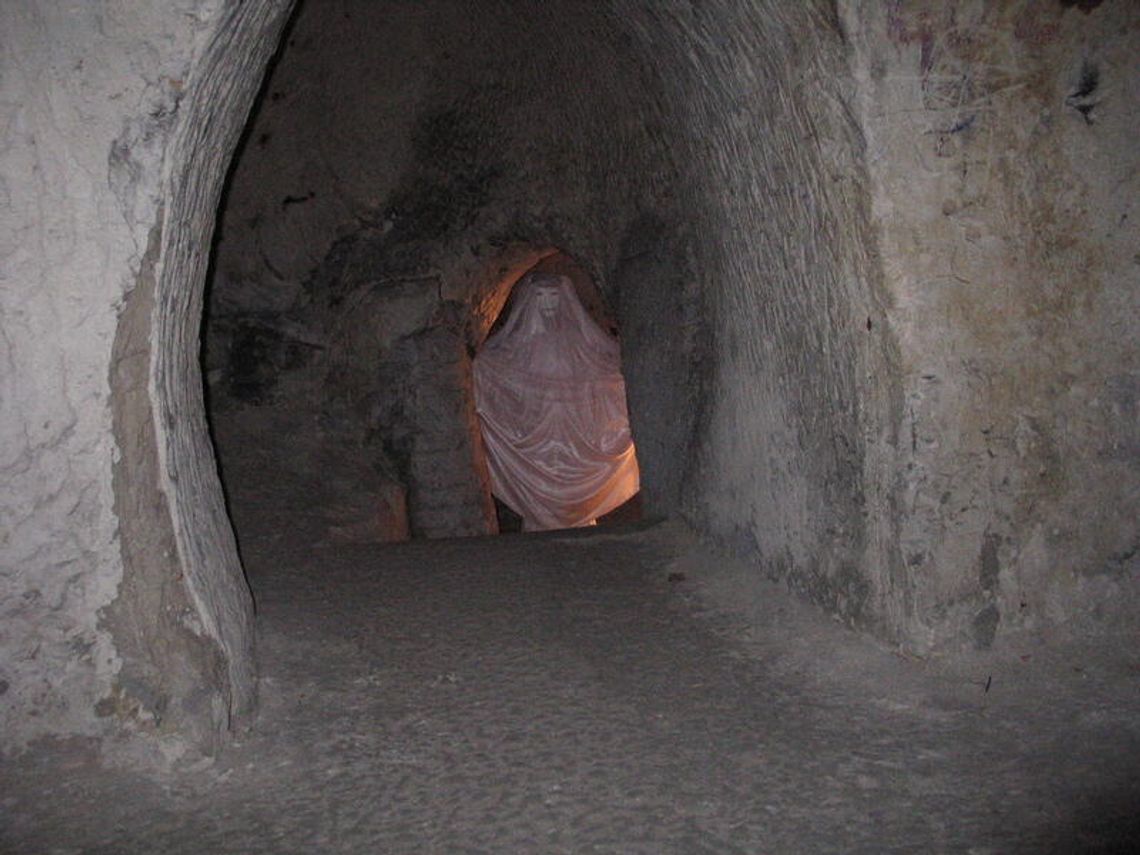 Fabryka papieru z kredy może powstać w Chełmie Fabryka papieru z kredy może powstać w Chełmie