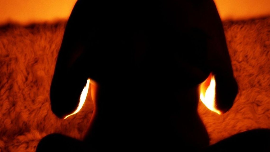 Fatalny finał rodzinnej imprezy. Wykorzystał szwagierkę, tłumaczył, że pomylił ją z żoną