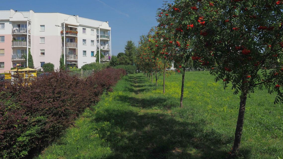 Felin dostanie nowy plac zabaw Felin dostanie nowy plac zabaw