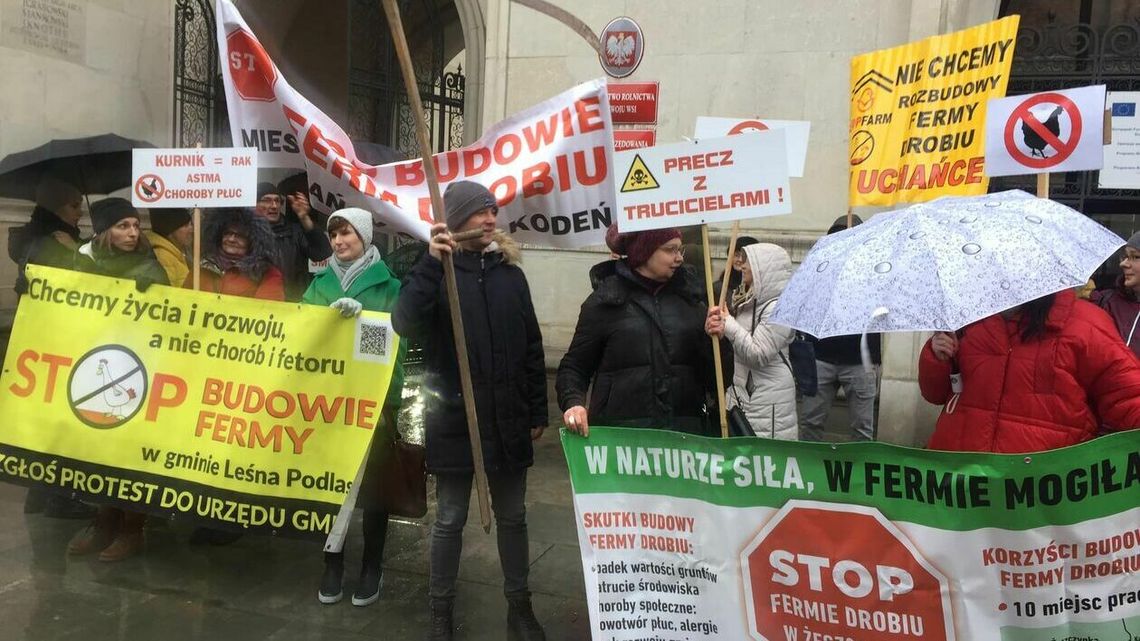 Ferma za fermą. Ludzie chcą, żeby planom na miliony kurczaków przyjrzeli się radni