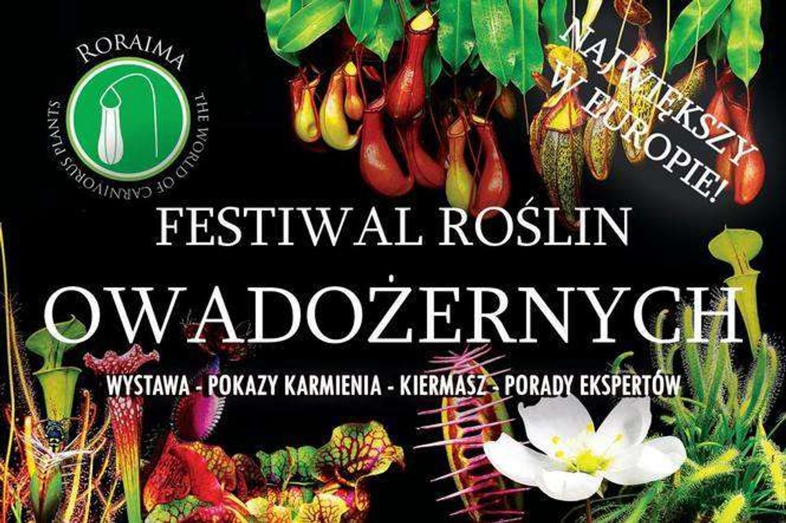 Festiwal Roślin Owadożernych w Ogrodzie Botanicznym