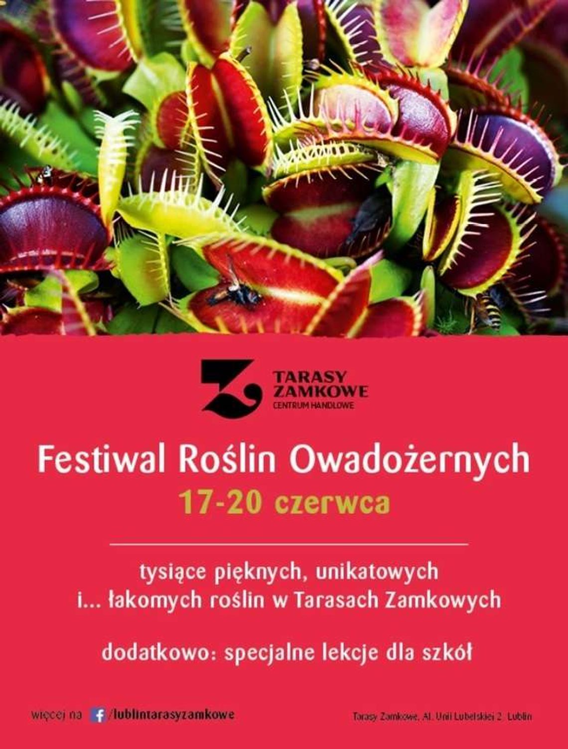 Festiwal Roślin Owadożernych w Tarasach Zamkowych