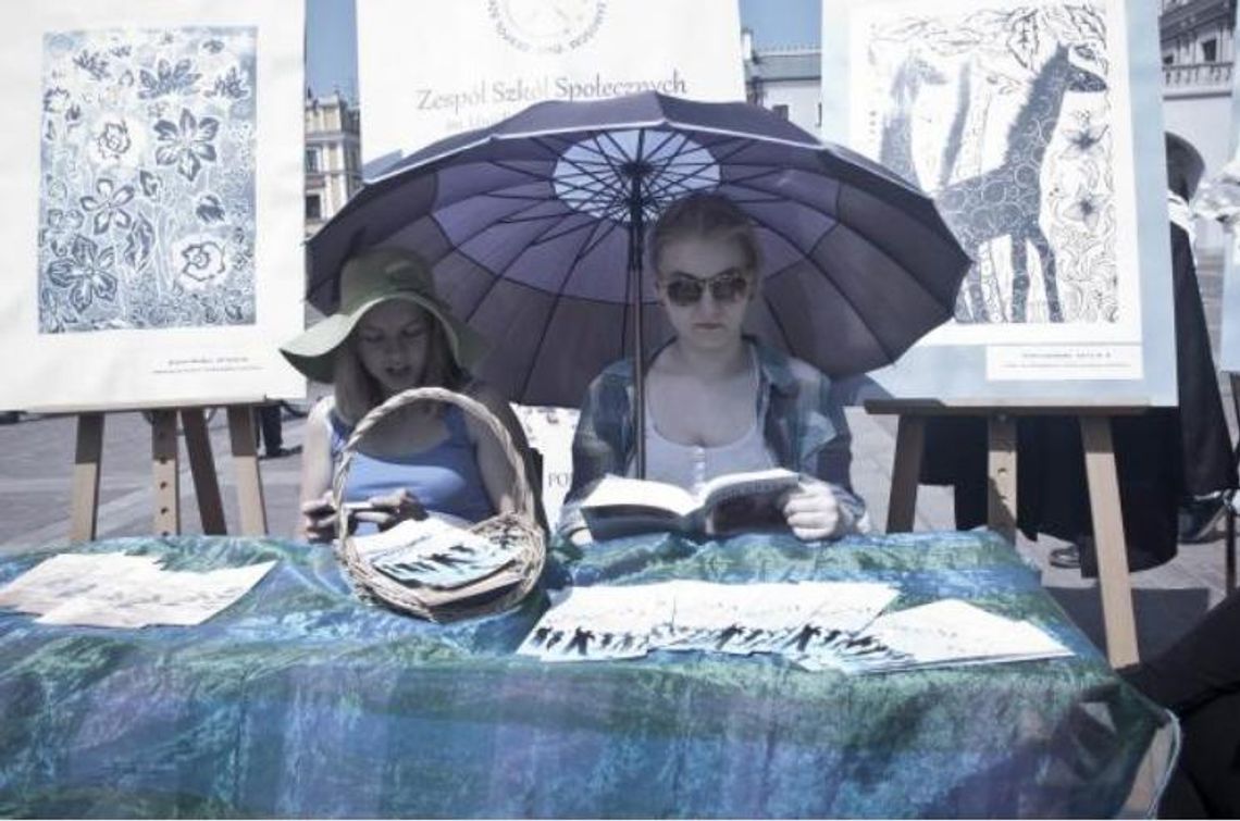 Festiwal Sztuk Wszelakich 2013 w Zamościu (zdjęcia)