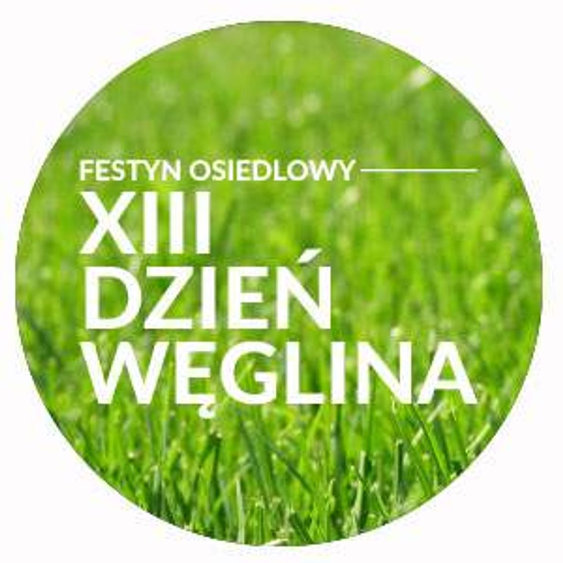 Festyn osiedlowy na Węglinie