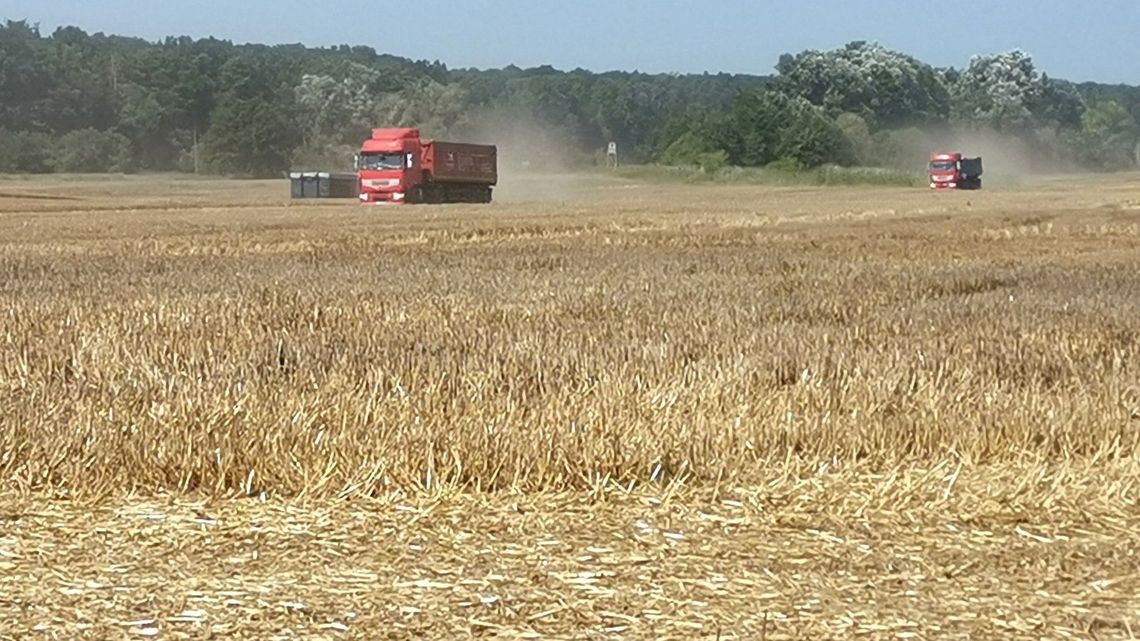 Fetor w całej miejscowości. Osady z oczyszczalni zrzucili na pole 