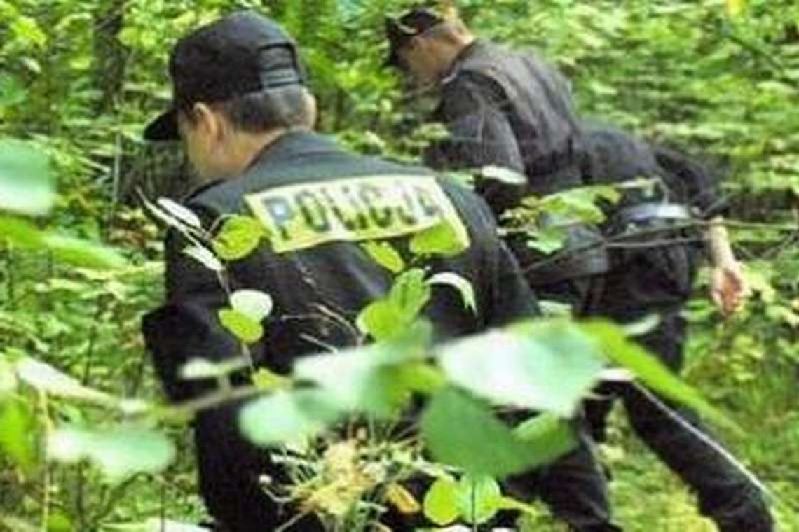 Firlej: 80-latek zaginął w lesie