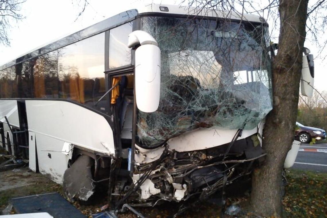Firlej: Wypadek autokaru z weselnikami. 24 osoby w szpitalu (zdjęcia)