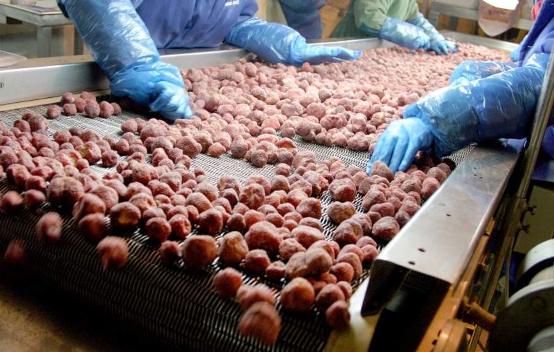 Firmy z woj. lubelskiego zatrudniają coraz więcej Ukraińców