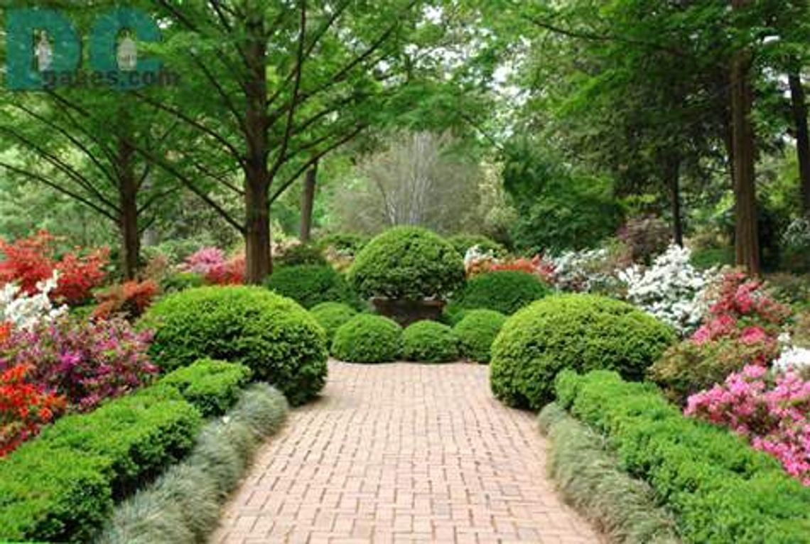 Florystyczna branża "kwitnie Poszukujesz wsparcia gotówkowego na taki biznes?