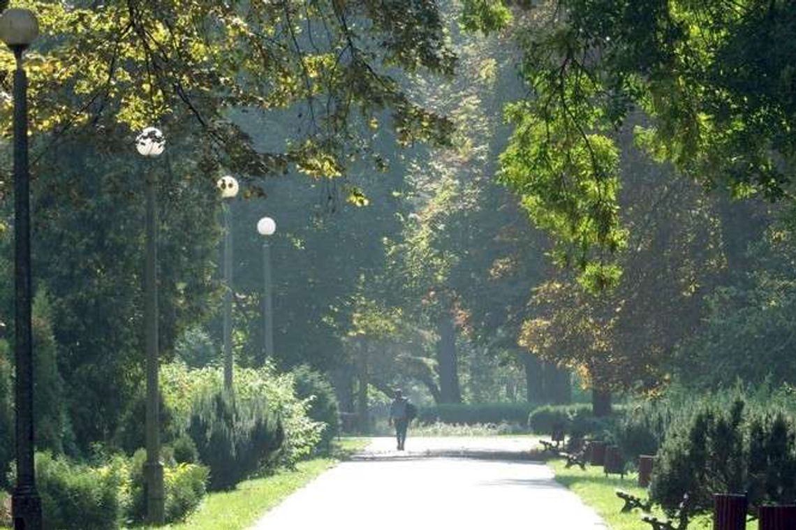 Fontanny, bulwar, kładki i skatepark w parku Ludowym. Ale i wycinka drzew Fontanny, bulwar, kładki i skatepark w parku Ludowym. Ale i wycinka drzew