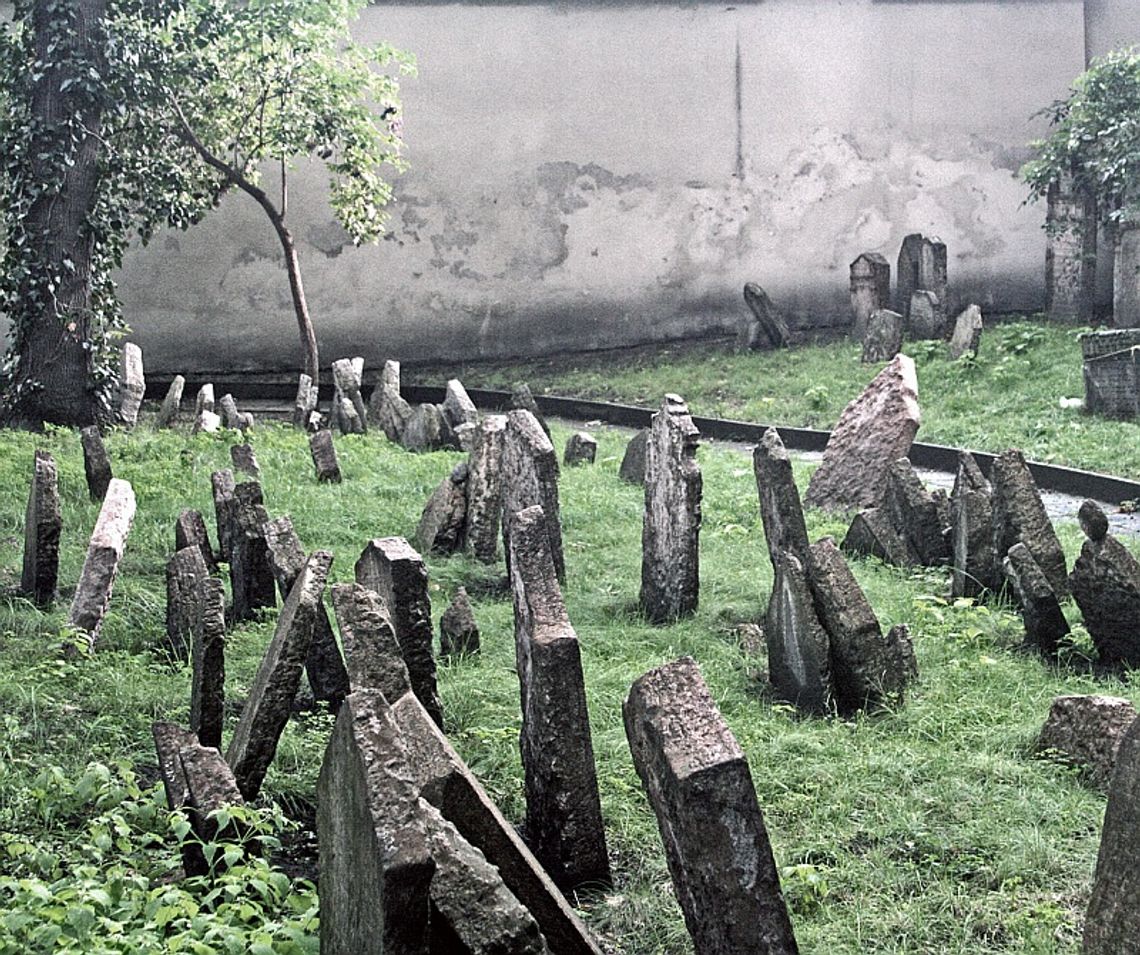 Fotografie czasu przeszłego w Galerii NN