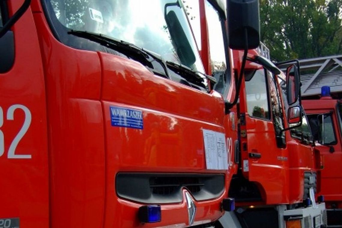 Franciszków: Rolnik zginął przygnieciony drewnem