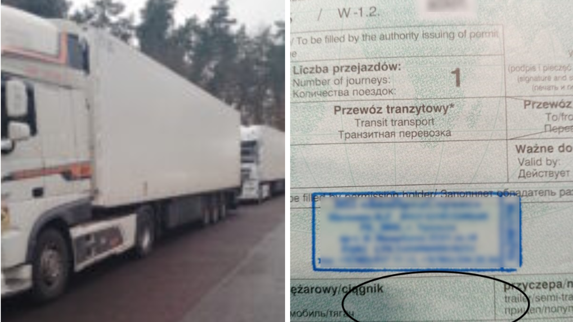 Frytki nie dojechały, bo w transporcie znaleziono pełno problemów