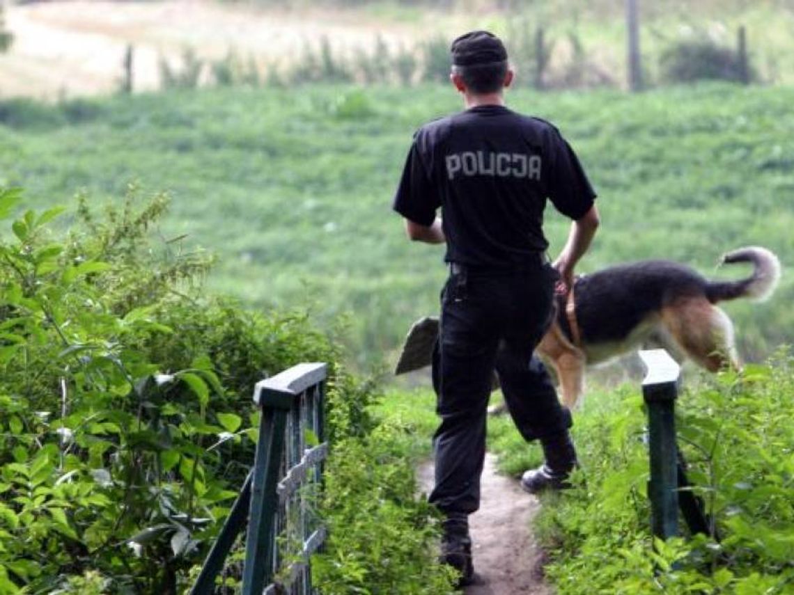 Funkcjonariusze szukają psów do pracy w policji Funkcjonariusze szukają psów do pracy w policji
