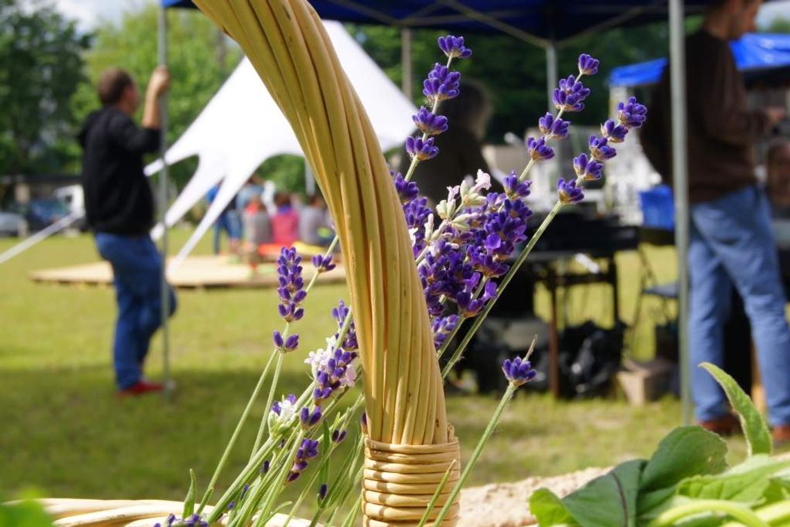 Galeria Labirynt: Chodź na grilla! Galeria Labirynt: Chodź na grilla!